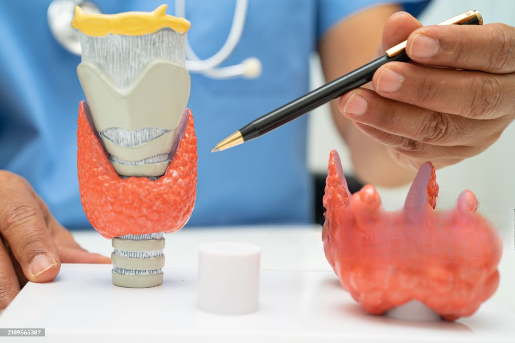 Thyroid Lobectomy